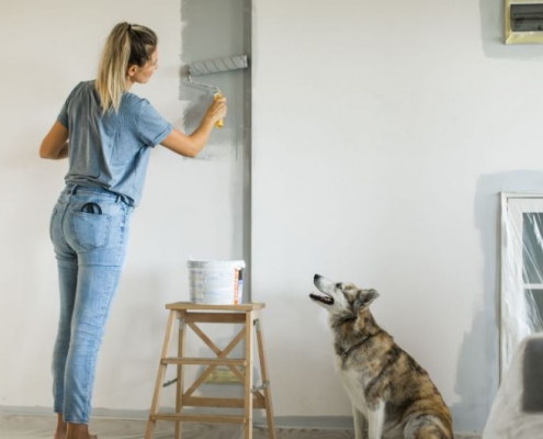 a painter girl painting the home